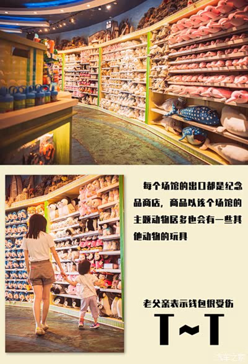 珠海贸易风华正茂:启夏贸易引领行业新趋势
